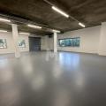 Entrepôt à vendre de 324 m² à Chevilly-Larue - 94550 photo - 3