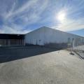 Entrepôt à acheter de 5 600 m² à Cholet - 49300 photo - 3