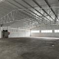 Achat d'entrepôt de 2 260 m² à Mundolsheim - 67450 photo - 2