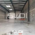 Vente d'entrepôt de 1 298 m² à Saint-Alban-de-Roche - 38080 photo - 5