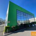 Entrepôt en vente de 960 m² à Villeneuve-lès-Bouloc - 31620 photo - 3