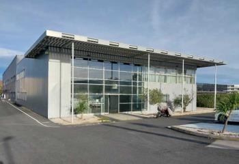 Location bureau Baillargues (34670) - 664 m² à Baillargues - 34670