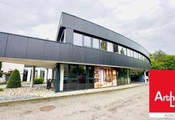 Location bureau Entzheim (67960) - 259 m² à Entzheim - 67960