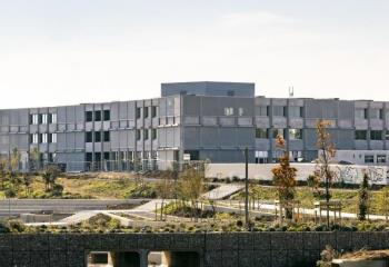 Location bureau Montpellier (34000) - 7500 m² à Montpellier - 34000
