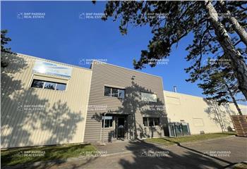 Location Bureaux 101 m² non divisibles à Savigny-lès-Beaune - 21420