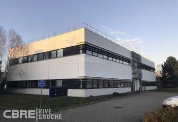 Location bureau Schiltigheim (67300) - 127 m² à Schiltigheim - 67300
