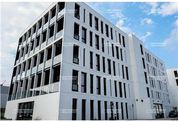 Location bureau Toulouse (31200) - 253 m² à Toulouse - 31000