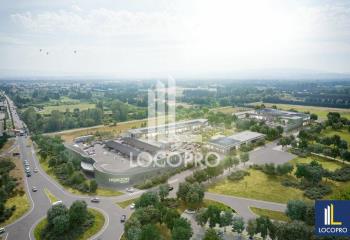 Location local commercial Monteux (84170) - 2166 m²