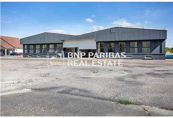 Location activité/entrepôt Angerville (91670) - 1400 m²