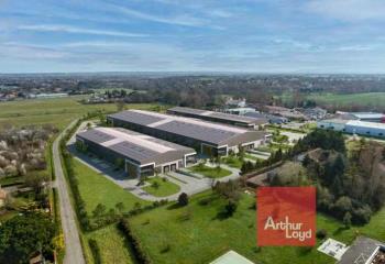 Location activité/entrepôt Aussonne (31840) - 16968 m² à Aussonne - 31840