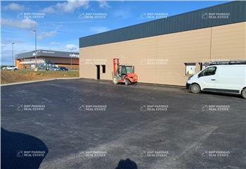 Location activité/entrepôt Beuvillers (54560) - 506 m² à Beuvillers - 54560
