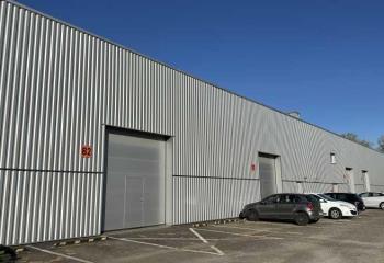 Location activité/entrepôt Bischheim (67800) - 1284 m² à Bischheim - 67800