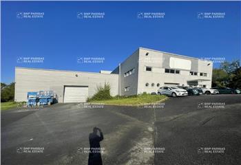 Location activité/entrepôt Bourg-des-Comptes (35890) - 1750 m² à Bourg-des-Comptes - 35890