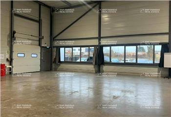 Location activité/entrepôt Bouvines (59830) - 234 m² à Bouvines - 59830