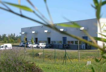 Location activité/entrepôt Carbonne (31390) - 250 m²