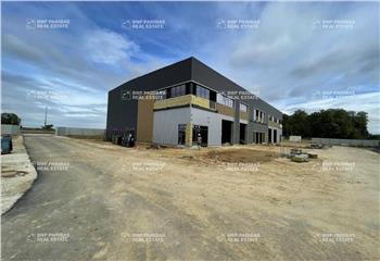 Location activité/entrepôt Chalifert (77144) - 4471 m² à Chalifert - 77144