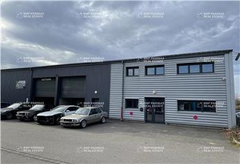 Location activité/entrepôt Colmar (68000) - 310 m² à Colmar - 68000