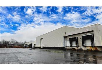 Location activité/entrepôt Croissy-Beaubourg (77183) - 9199 m²