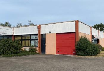 Location activité/entrepôt Eckbolsheim (67201) - 206 m²