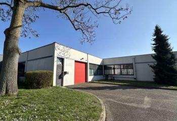 Location activité/entrepôt Eckbolsheim (67201) - 215 m² à Eckbolsheim - 67201