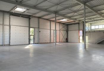 Location activité/entrepôt Eschau (67114) - 350 m² à Eschau - 67114