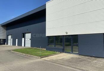 Location activité/entrepôt Geispolsheim (67118) - 1150 m² à Geispolsheim - 67118