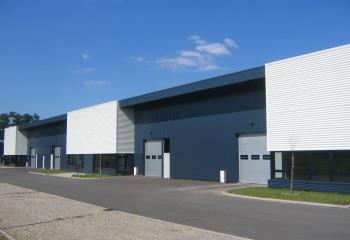 Location activité/entrepôt Geispolsheim (67118) - 1150 m² à Geispolsheim - 67118
