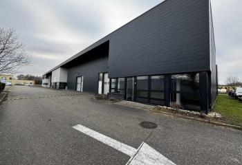 Location activité/entrepôt Geispolsheim (67118) - 1154 m² à Geispolsheim - 67118