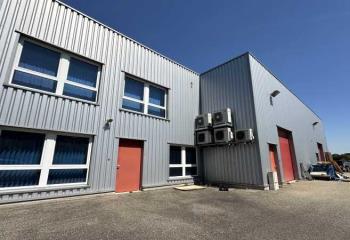 Location activité/entrepôt Geispolsheim (67118) - 500 m²