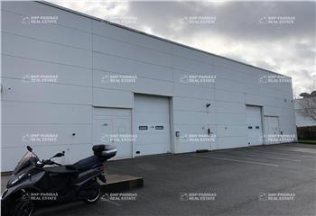 Location activité/entrepôt Guyancourt (78280) - 506 m²