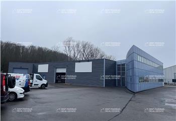 Location activité/entrepôt Hésingue (68220) - 620 m² à Hésingue - 68220