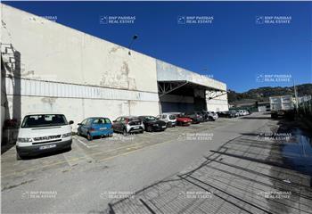 Location activité/entrepôt La Trinité (06340) - 7591 m²