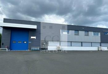 Location activité/entrepôt Lozanne (69380) - 438 m² à Lozanne - 69380