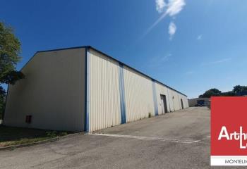 Location activité/entrepôt Meysse (07400) - 1630 m²