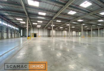 Location activité/entrepôt Moissy-Cramayel (77550) - 20423 m² à Moissy-Cramayel - 77550