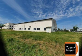 Location activité/entrepôt Montauban (82000) - 1002 m² à Montauban - 82000