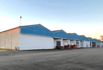 Location activité/entrepôt Montauban (82000) - 5800 m² à Montauban - 82000