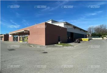 Location activité/entrepôt Montauroux (83440) - 1981 m² à Montauroux - 83440