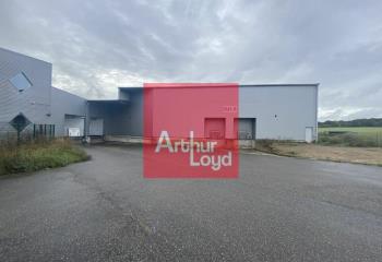 Location activité/entrepôt Moret-sur-Loing (77250) - 835 m² à Moret-sur-Loing - 77250