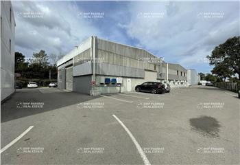 Location activité/entrepôt Mudaison (34130) - 710 m²