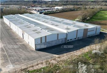 Location activité/entrepôt Pont-d'Ain (01160) - 9051 m² à Pont-d'Ain - 01160