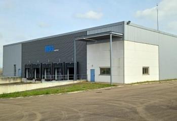 Location activité/entrepôt Pont-sur-Seine (10400) - 6300 m² à Pont-sur-Seine - 10400