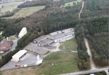 Location activité/entrepôt Questembert (56230) - 6152 m² à Questembert - 56230