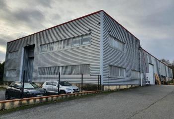 Location activité/entrepôt Ramonville-Saint-Agne (31520) - 1531 m² à Ramonville-Saint-Agne - 31520