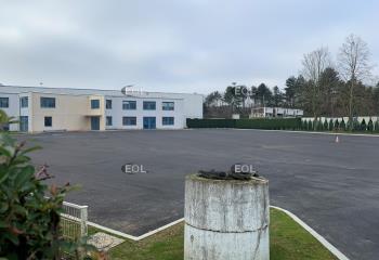 Location activité/entrepôt Ris-Orangis (91130) - 1000 m² à Ris-Orangis - 91130
