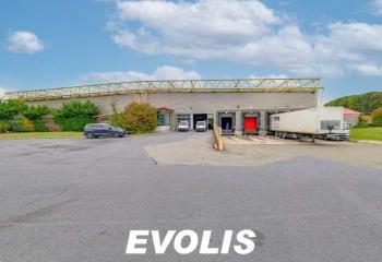 Location activité/entrepôt Roissy-en-France (95700) - 1292 m² à Roissy-en-France - 95700