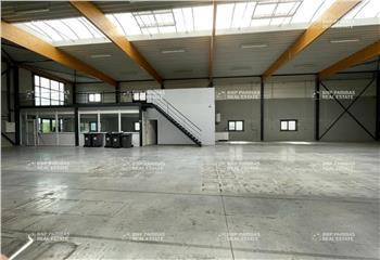 Location activité/entrepôt Roncq (59223) - 544 m² à Roncq - 59223