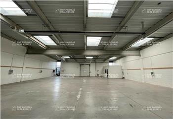 Location activité/entrepôt Roost-Warendin (59286) - 943 m² à Roost-Warendin - 59286