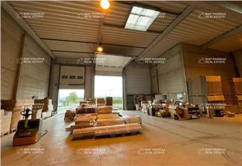 Location activité/entrepôt Sainghin-en-Mélantois (59262) - 1011 m²