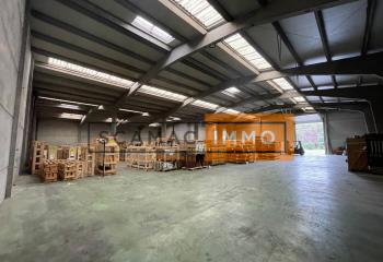 Location activité/entrepôt Sallaumines (62430) - 800 m² à Sallaumines - 62430